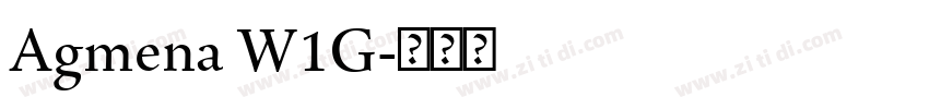 Agmena W1G字体转换